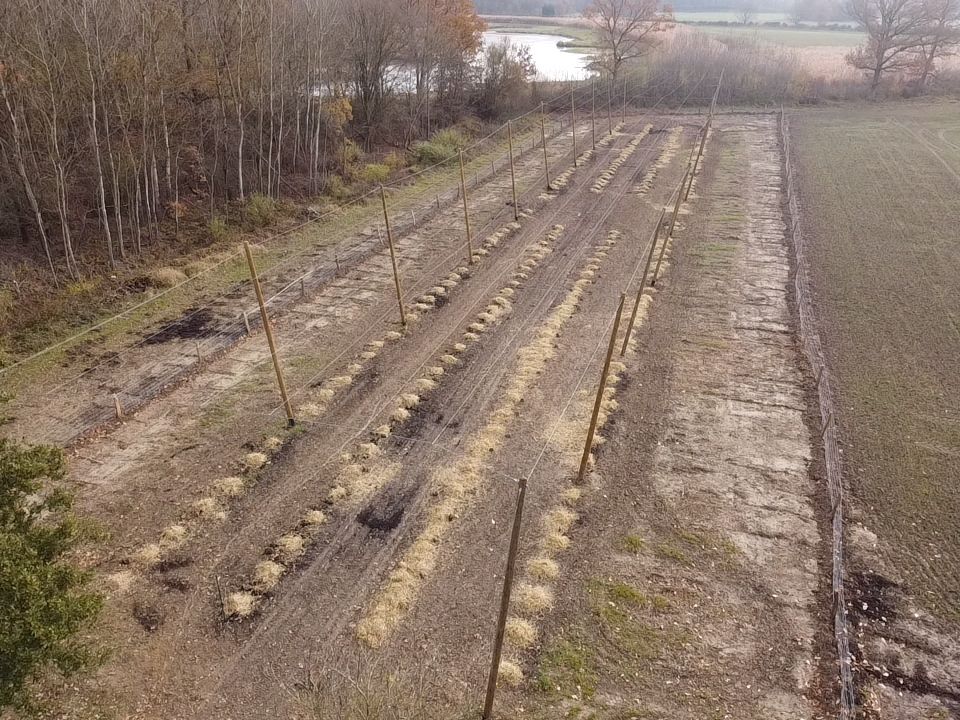 La Houblonnière en Seine-et-Marne